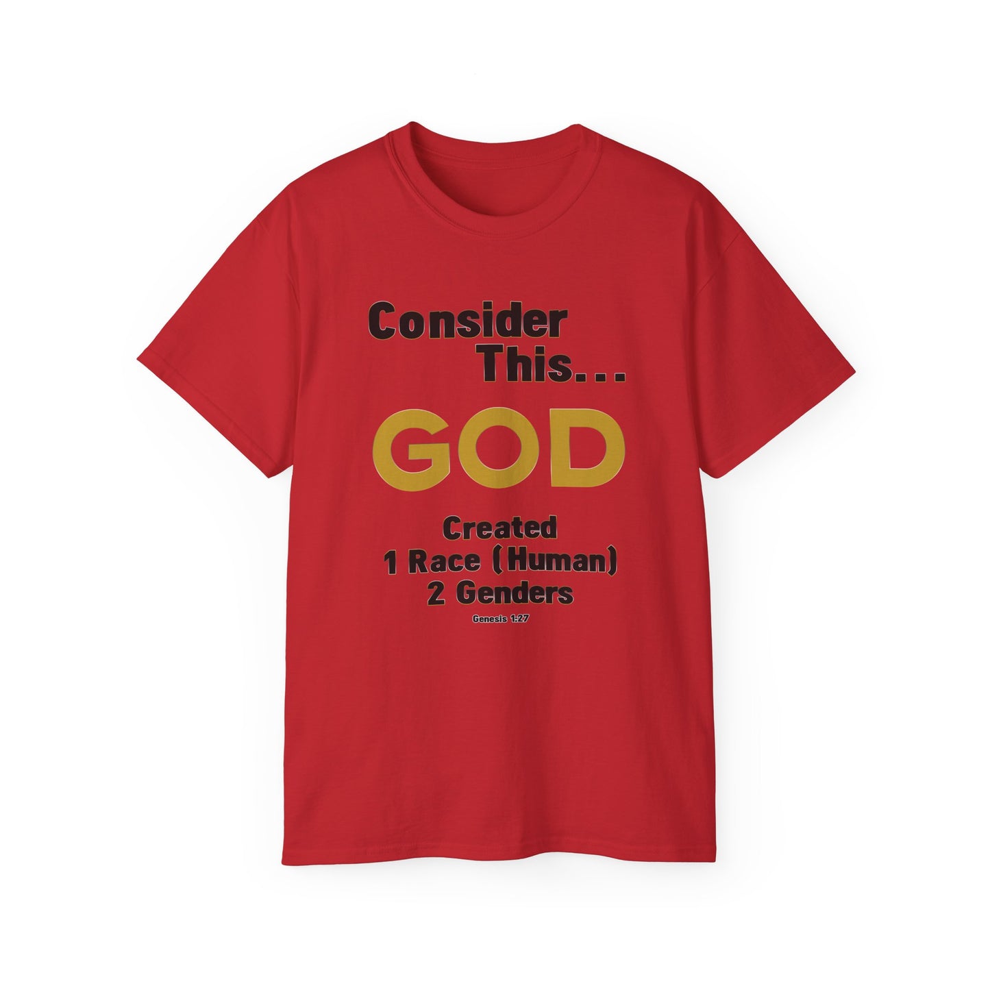 Consider This... 1 RACE 2 GENDERS T-Shirt