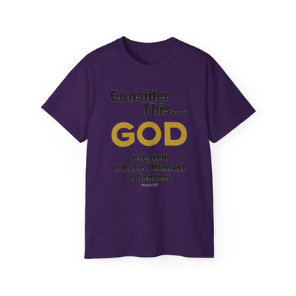 Consider This... 1 RACE 2 GENDERS T-Shirt