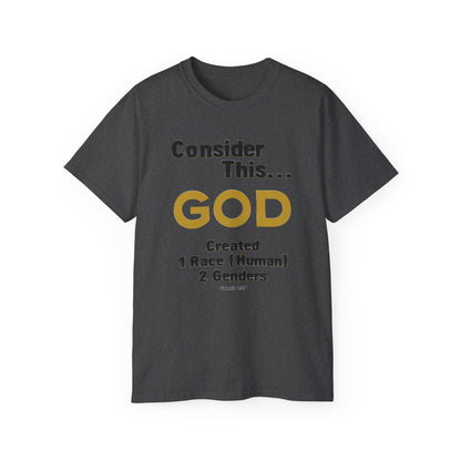 Consider This... 1 RACE 2 GENDERS T-Shirt